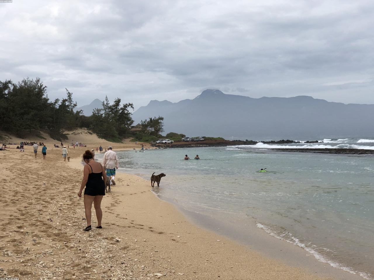 Family and corporate travel scene